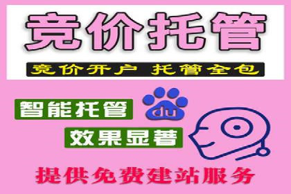 行业领先企业的SEM服务托管策略案例